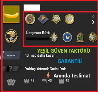 CS2 Prime Hesap Satın Al - ANINDA TESLİM | 9 MADALYA | 2153 SAAT | FACEIT