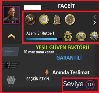 CS2 Prime Hesap Satın Al - ANINDA TESLİM | 8 MADALYA | 1289 SAAT | FACEIT