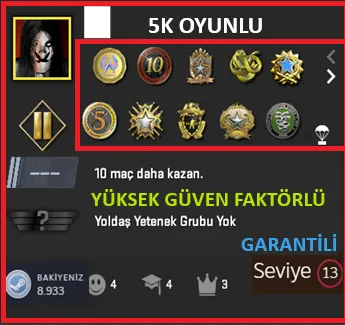 CS2 Prime Hesap Satın Al - ANINDA TESLİM | 11 MADALYA | 1336 SAAT | FACEIT