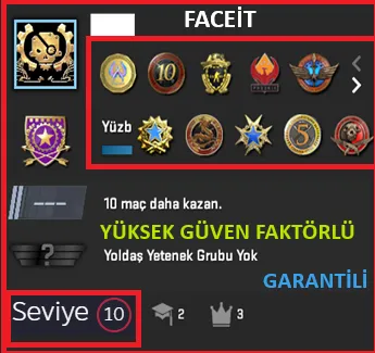 CS2 Prime Hesap Satın Al - ANINDA TESLİM | 11 MADALYA | 1553 SAAT | FACEIT