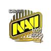 Çıkartma | Natus Vincere | 2020 RMR