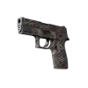 P250 | Tesis Taslağı (Görevde Kullanılmış)