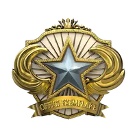 2018 Hizmet Madalyası